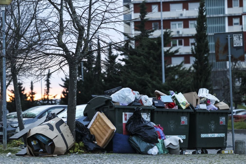 Associação ambientalista Zero propõe alternativa para um milhão de toneladas de lixo urbano