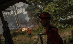 Brasil regista maior número de focos de incêndio em 14 anos