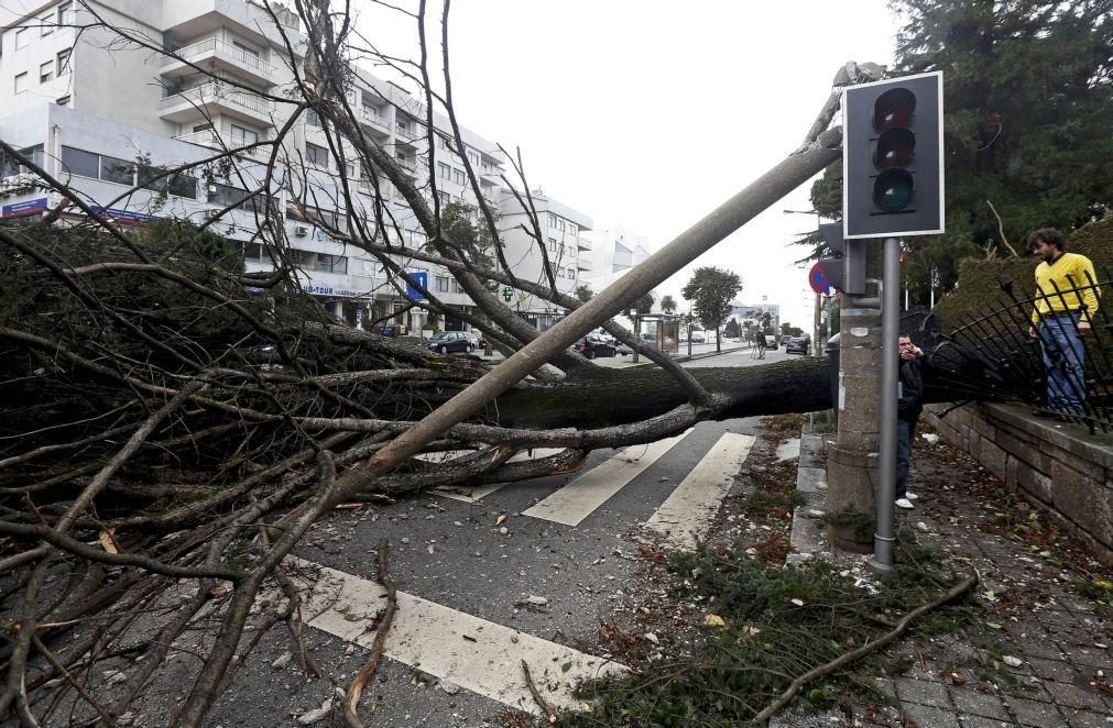 Proteção Civil registou 276 ocorrências até devido à chuva e vento fortes