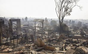 Incêndio em Palisades está a tornar-se o mais caro de sempre na Califórnia