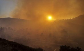 Residentes de Los Angeles tentam sobreviver a catástrofe sem precedentes