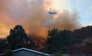 Sobe para 16 o número de mortos devido a incêndios florestais em Los Angeles