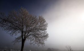 Todo o continente sob aviso amarelo devido ao frio na quarta-feira