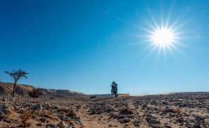 Rui Gonçalves foi segundo das motas na 10.ª etapa do Dakar 2025