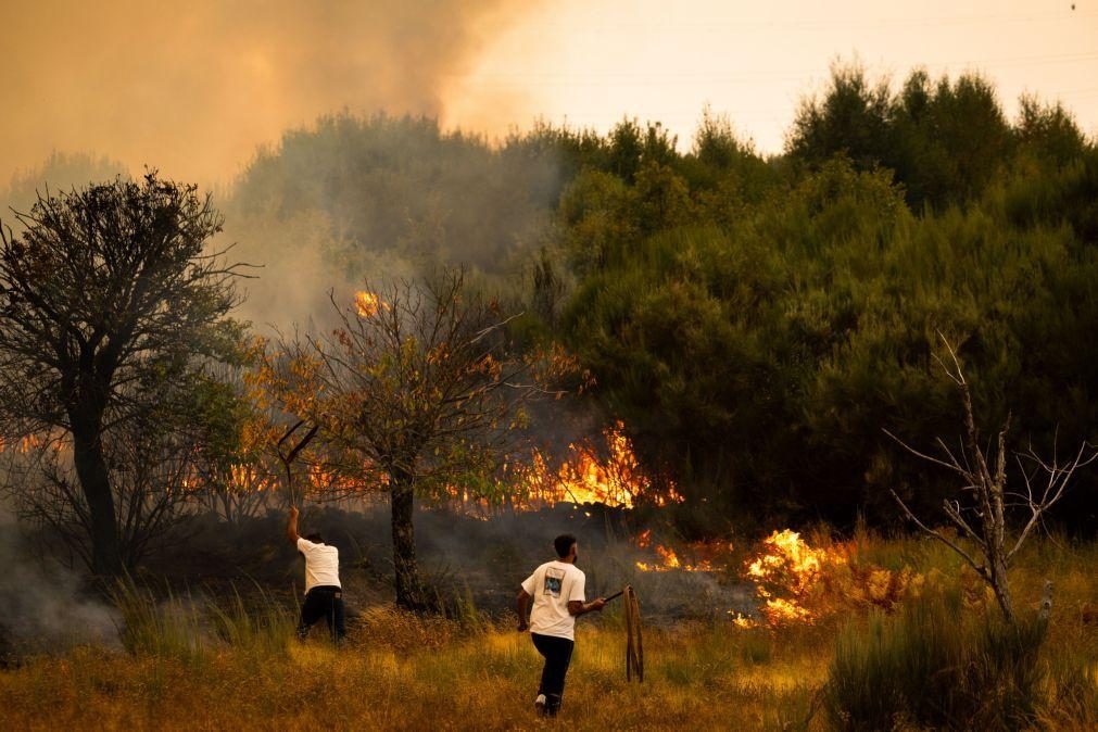 Incêndios afetaram mais de 16.000 alunos em Portugal em 2024