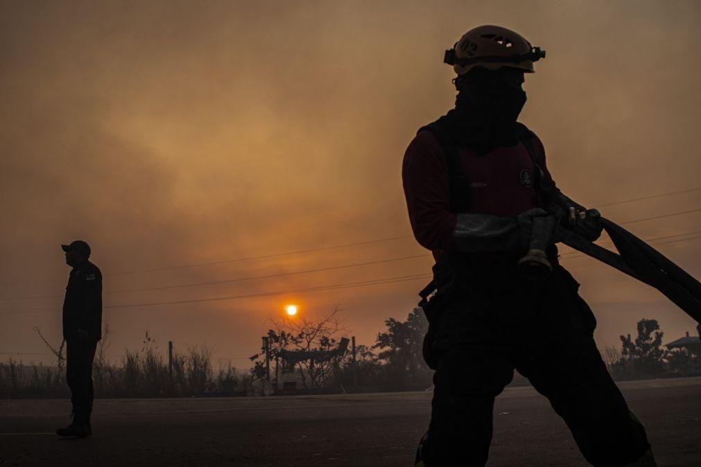 Seca e fogos fizeram degradação da Amazónia brasileira crescer quase 500% em 2024