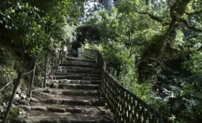 Monumentos na serra de Sintra fechados temporariamente e EN375 cortada para Monserrate