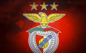 Jaime Antunes deixa vice-presidência do Benfica e administração da SAD