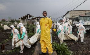 RDCongo: Mais de 800 mortos e 3.082 feridos em Goma desde 26 de janeiro