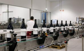 Exportações dos vinhos portugueses crescem para quase mil milhões de euros