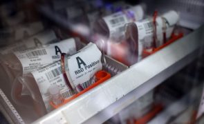 Federação apela à dádiva de sangue quando as reservas estão abaixo das necessidades