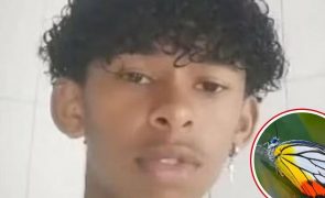 Davi Nunes Moreira Morre aos 14 anos após se injetar com os restos de uma borboleta num desafio online