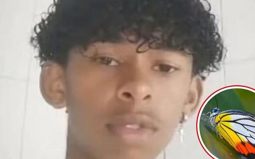 Davi Nunes Moreira Morre aos 14 anos após se injetar com os restos de uma borboleta num desafio online