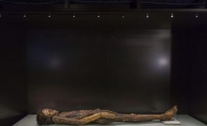 Museus nacionais de Espanha retiram de exposição múmias e partes de corpos humanos