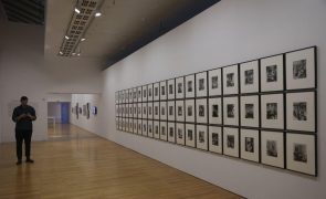 MAC/CCB inaugura nova exposição permanente que tem dentro mostra temporária