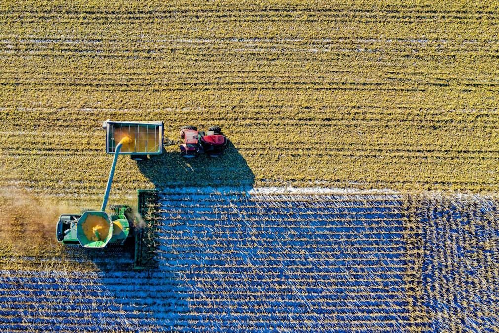 Conheça as maiores ameaças à biodiversidade na Terra