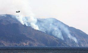 Nordeste do Japão devastado pelo pior incêndio florestal desde 1992