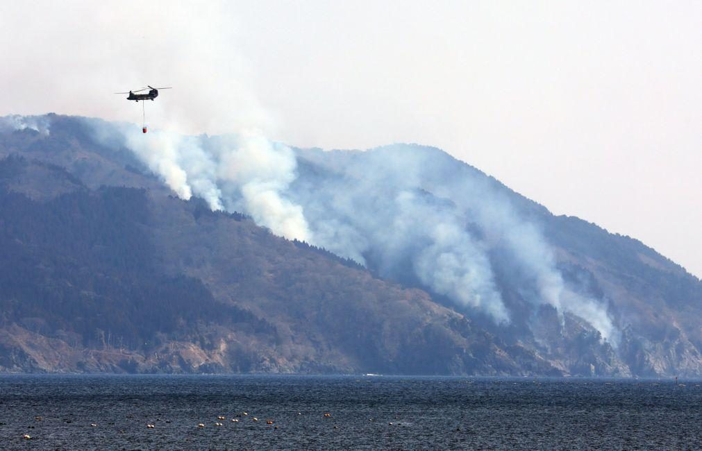 Piores incêndios desde 1992 no Japão obrigam à retirada de duas mil pessoas