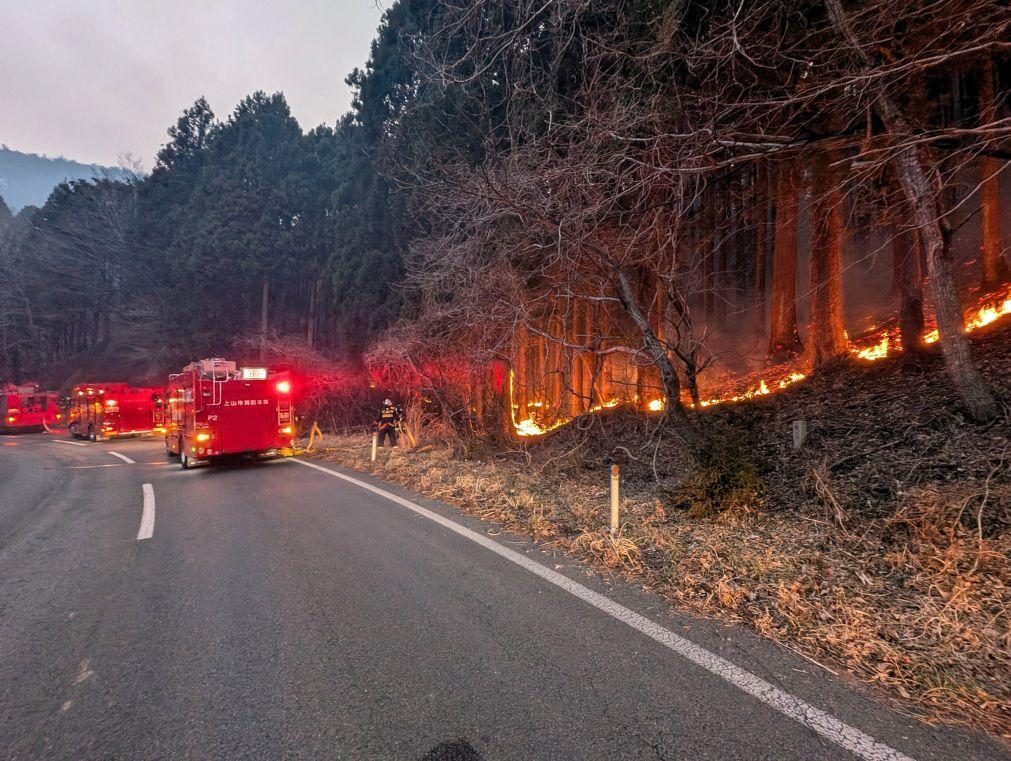 Maior incêndio do Japão em três décadas já consumiu 2.100 hectares e continua ativo