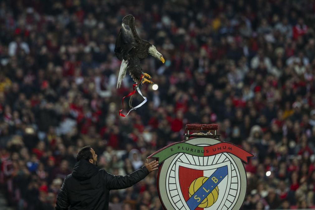 Limite de mandatos e remunerações à direção marcam 'novos' estatutos do Benfica