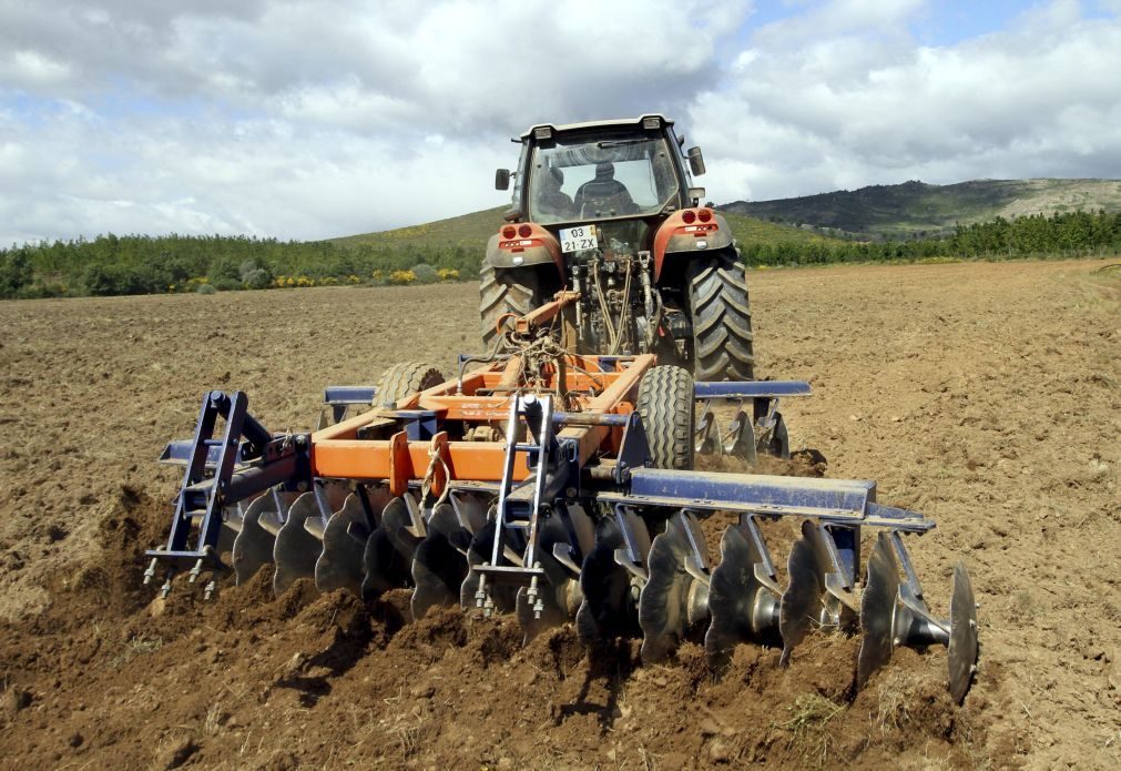 Preço da produção agrícola sobe na UE e recua em Portugal no 4.º trimestre de 2024