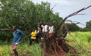 Sobe para 14 o número de mortos após passagem do ciclone Jude em Moçambique