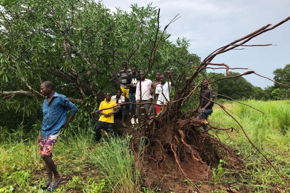 Sobe para 14 o número de mortos após passagem do ciclone Jude em Moçambique