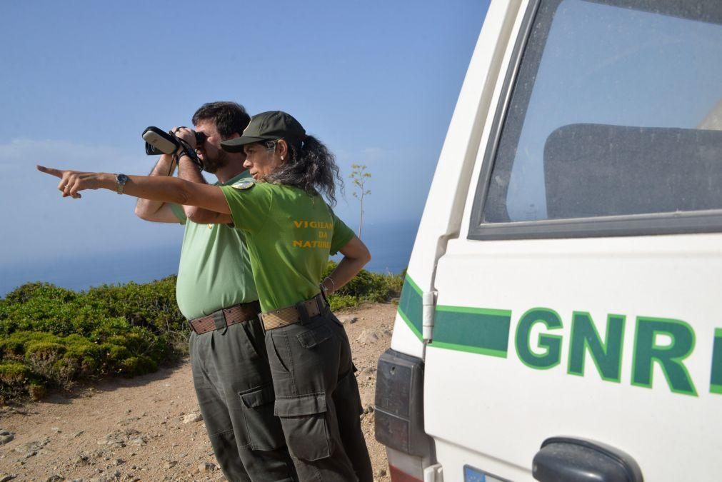 Detidas 197 pessoas em operação da GNR de fiscalização da caça