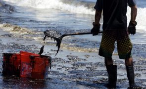 Greenpeace condenada a pagar indemnização de centenas de milhões USD por protesto