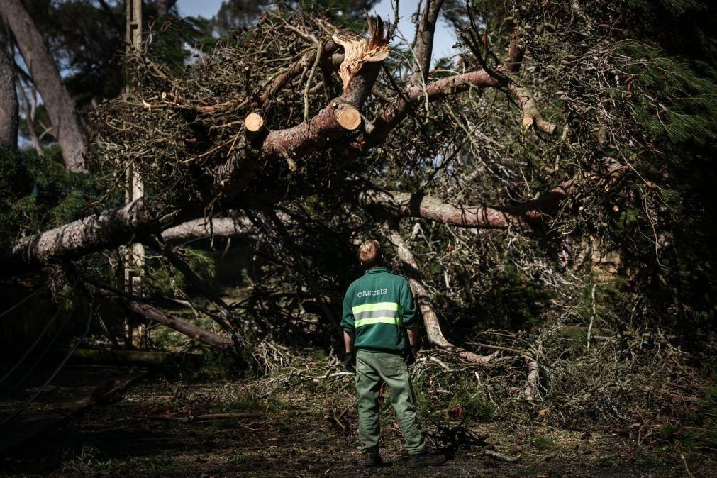 Depressão Martinho provocou queda de árvores mas também incêndios em Portugal continental