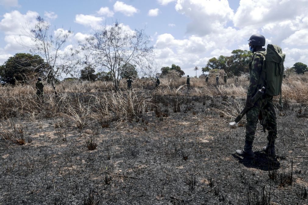 Sete supostos terroristas abatidos em Cabo Delgado