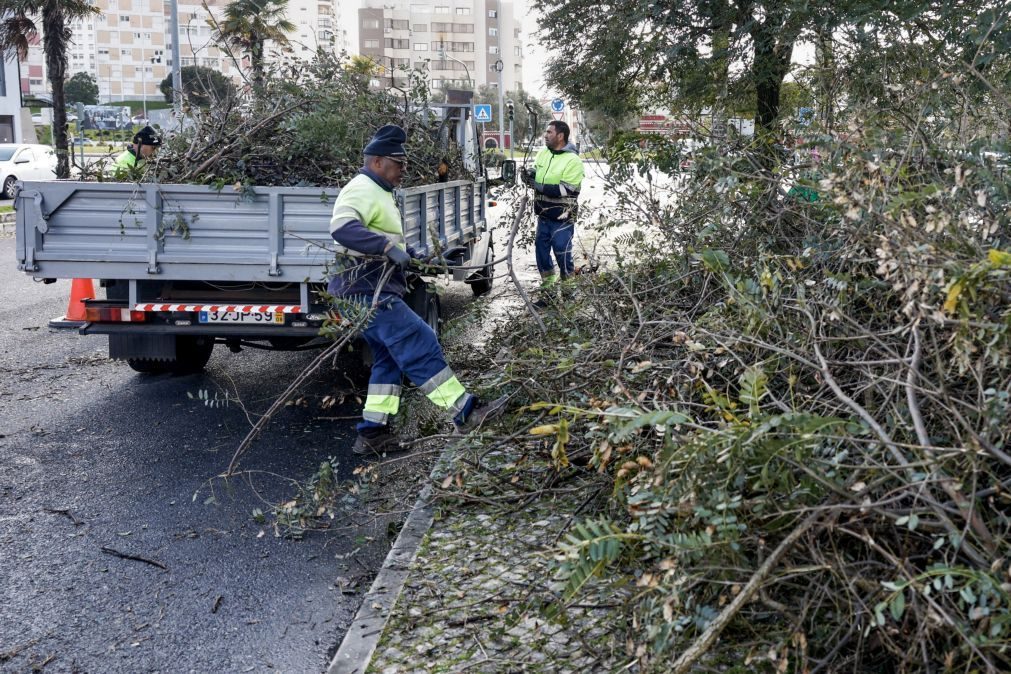 Proteção Civil regista 207 ocorrências até às 10:00 em Portugal continental