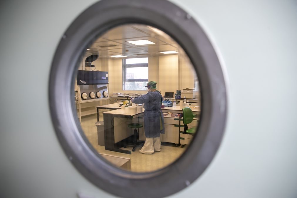 Investigadores portugueses mais perto de nova imunoterapia contra cancro colorretal