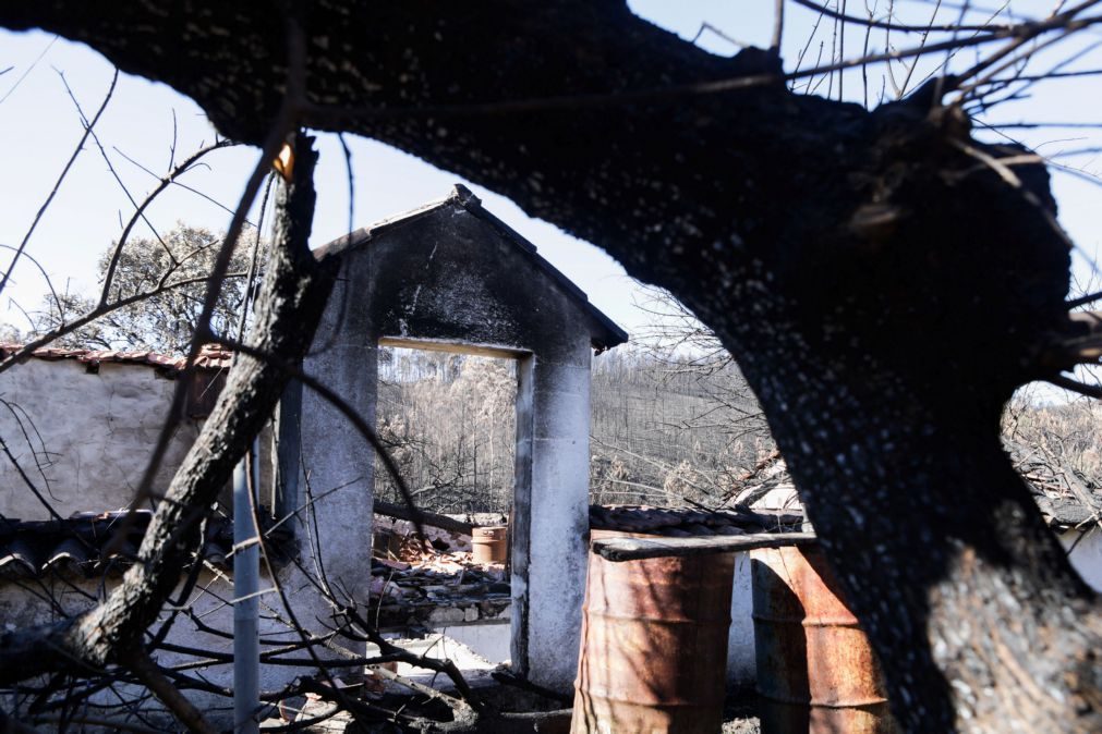 83% dos formulários para reconstrução após os incêndios entregues dentro do prazo