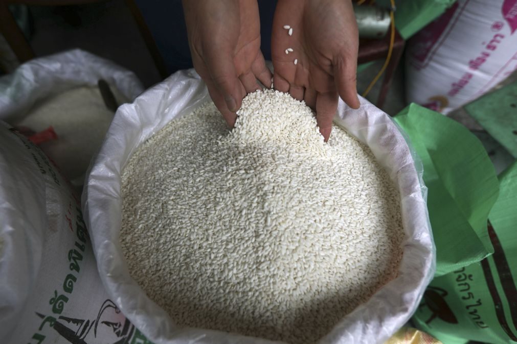 China doa sete mil toneladas de arroz para famílias afetadas pelas chuvas em Moçambique