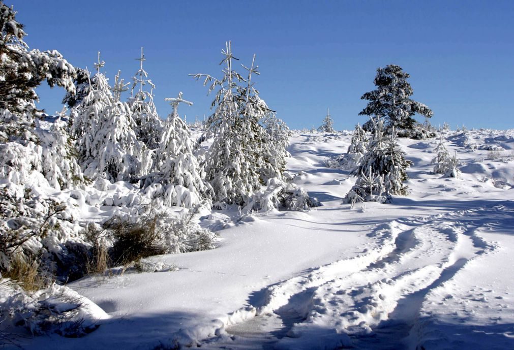 ALERTA | Aviso laranja por neve, chuva e agitação marítima