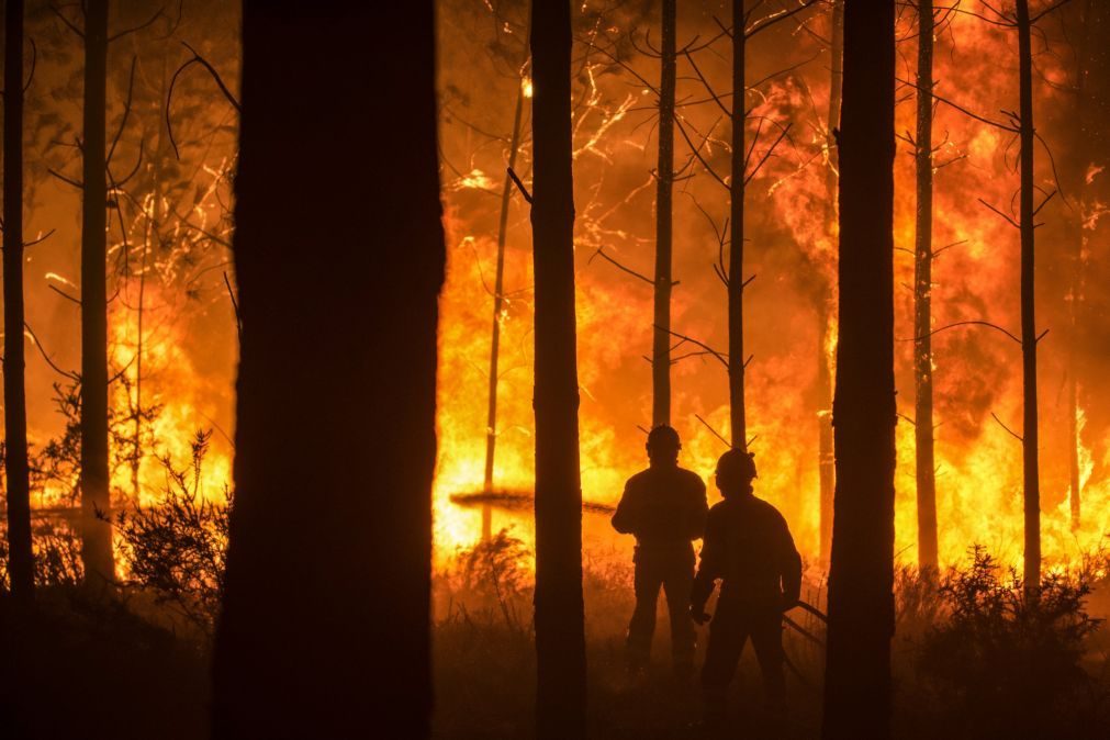 ALERTA INCÊNDIOS: Fogo em Aveiro convoca cinco meios aéreos