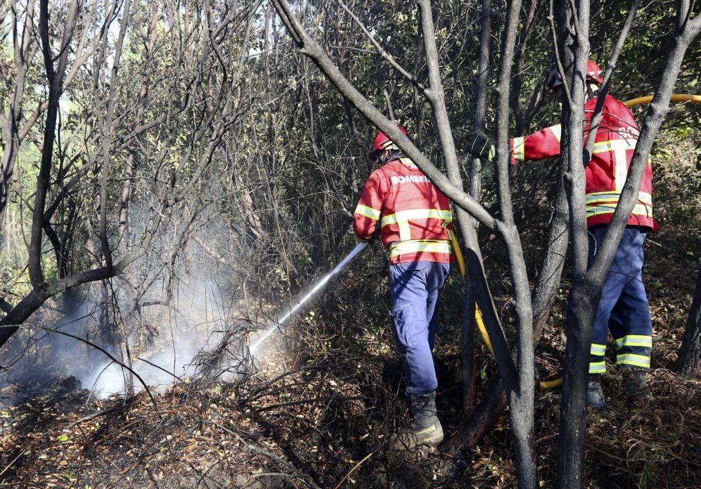 Mais de 160 operacionais combatem fogo no concelho de Soure