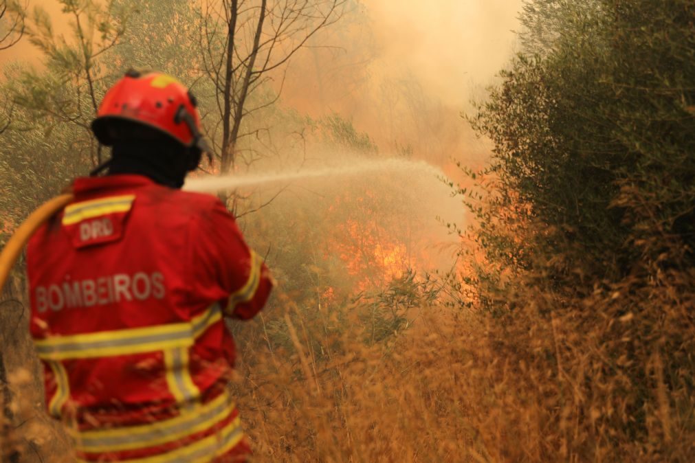 ALERTA | Cinco meios juntam-se aos 280 bombeiros que combatem incêndio em Alijó