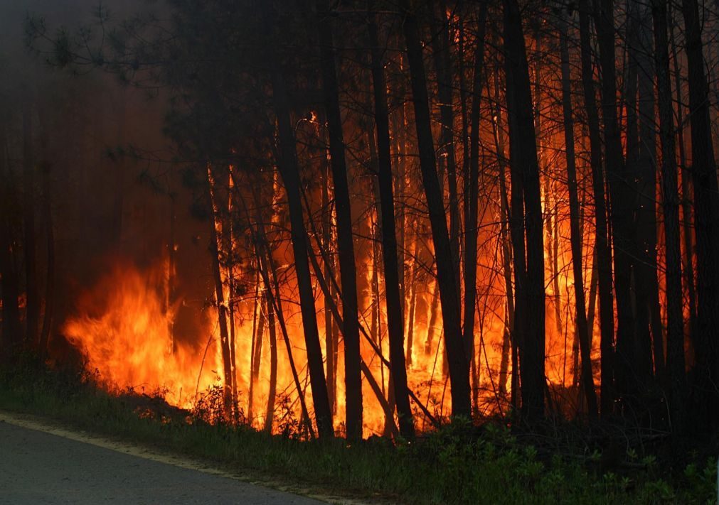 Incêndios: Estado de alerta prolongado até segunda-feira