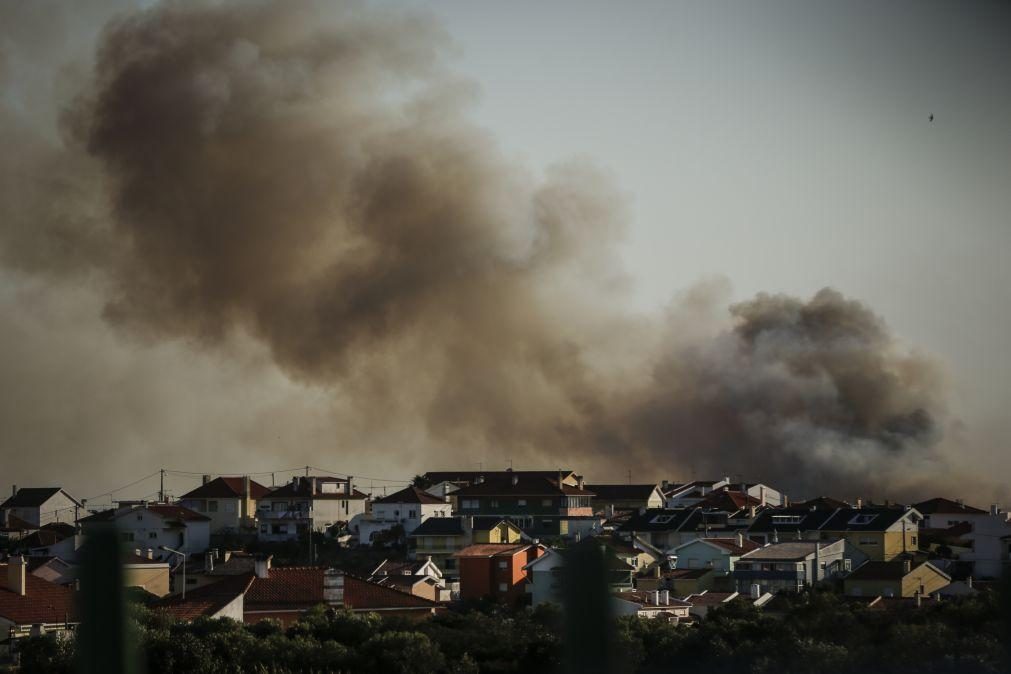 Incêndios: Dominado fogo que deflagrou em zona de mato em ...