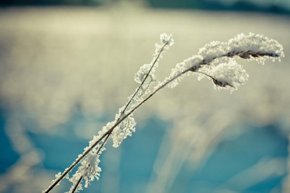 Primeiro fim de semana do ano com geada e muito frio