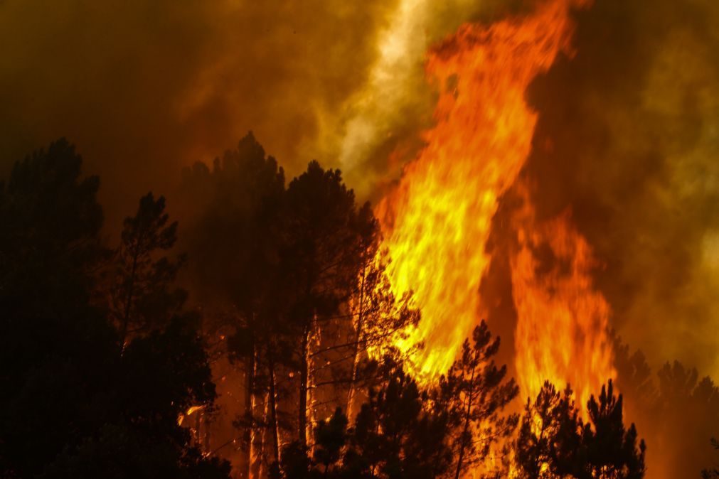 Cinco concelhos de três distritos do continente em risco máximo de incêndio