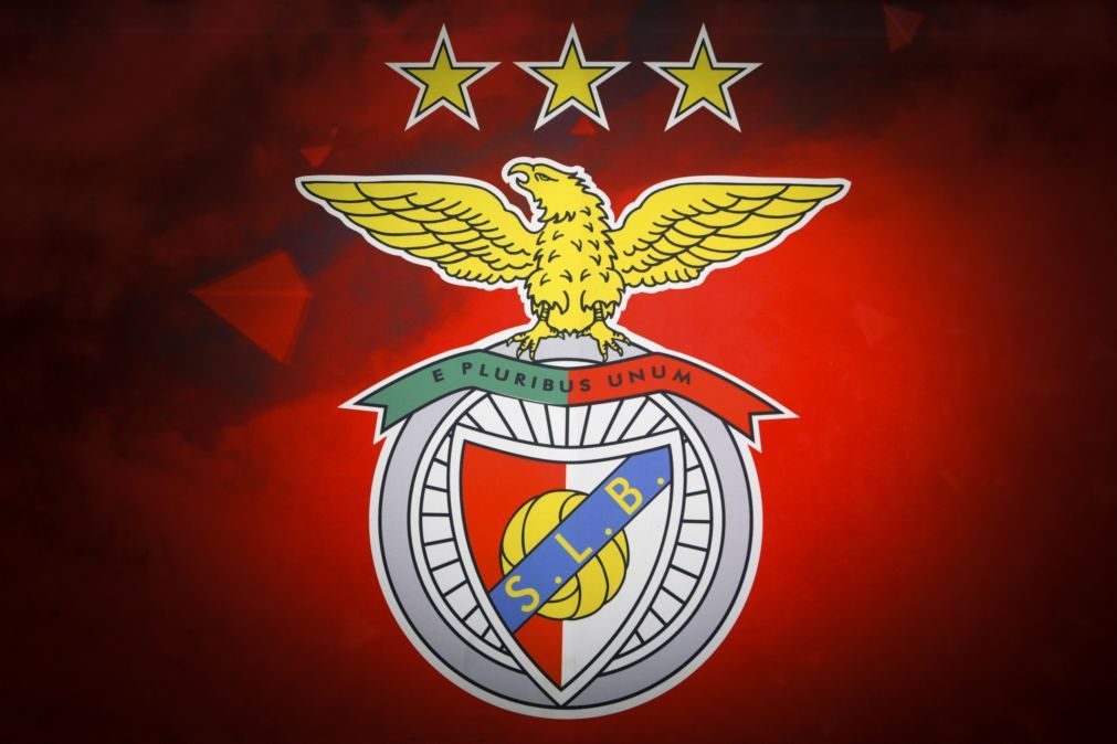 LC: Benfica defronta PSV ou Midtjylland no 'play-off' se ...