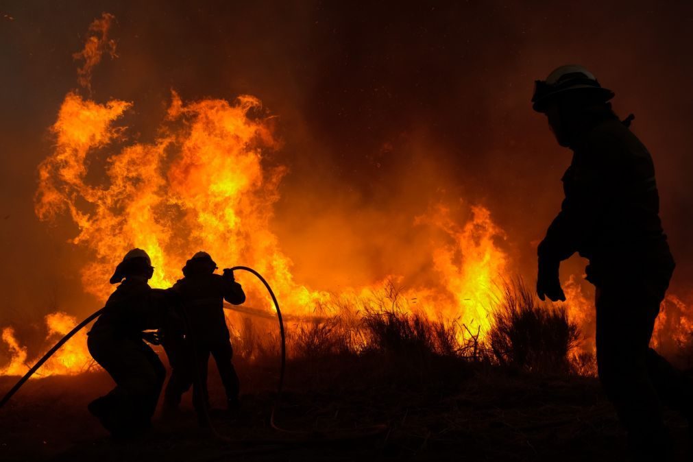 Incêndios: Arderam 75.264 hectares este ano, a maior área da última década