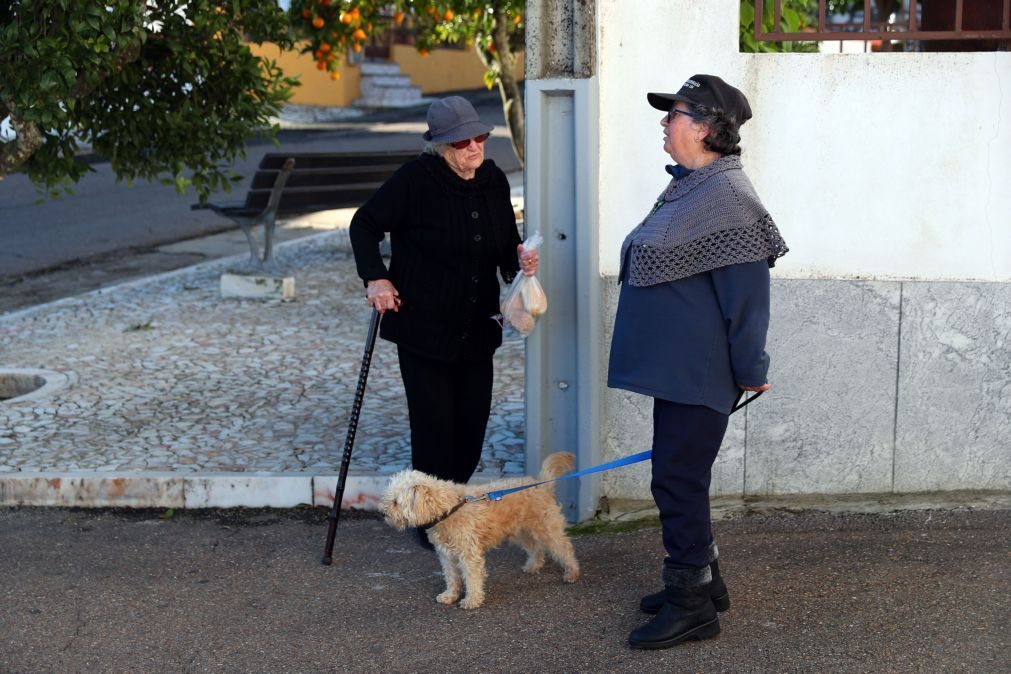 Legislativas: Habitantes de freguesia do Alentejo sem medo da covid-19