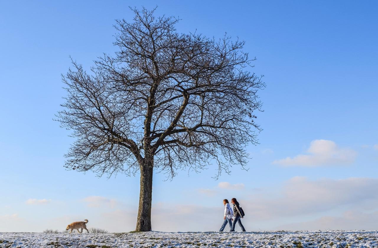 Meteorologia: Previsão do tempo para domingo, 23 de janeiro