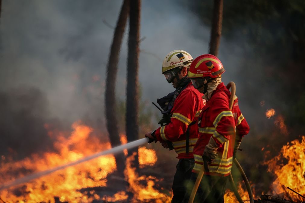 Pedidos meios aéreos para o incêndio no Parque Natural de Montesinho