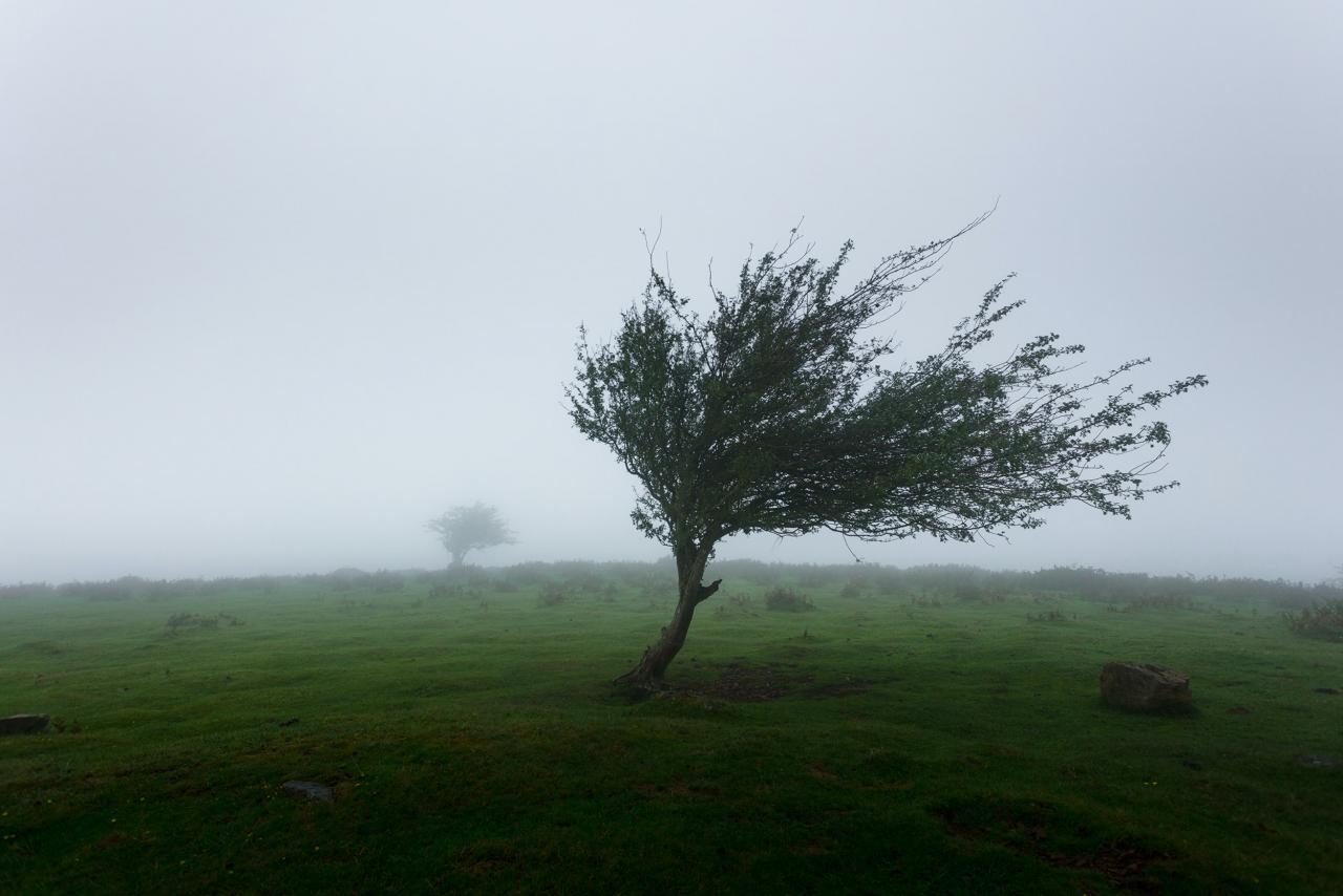 Meteorologia: Previsão do tempo para sexta-feira, 4 de fevereiro