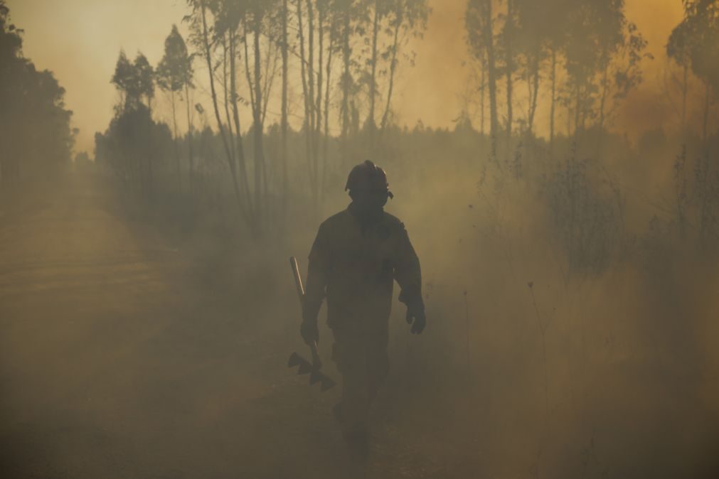 Mais de uma centena de bombeiros combatem incêndio no concelho do Sabugal